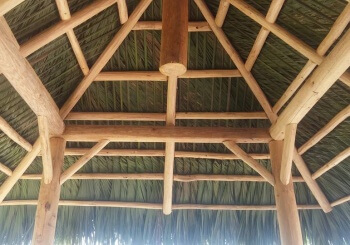 Palm Thatch