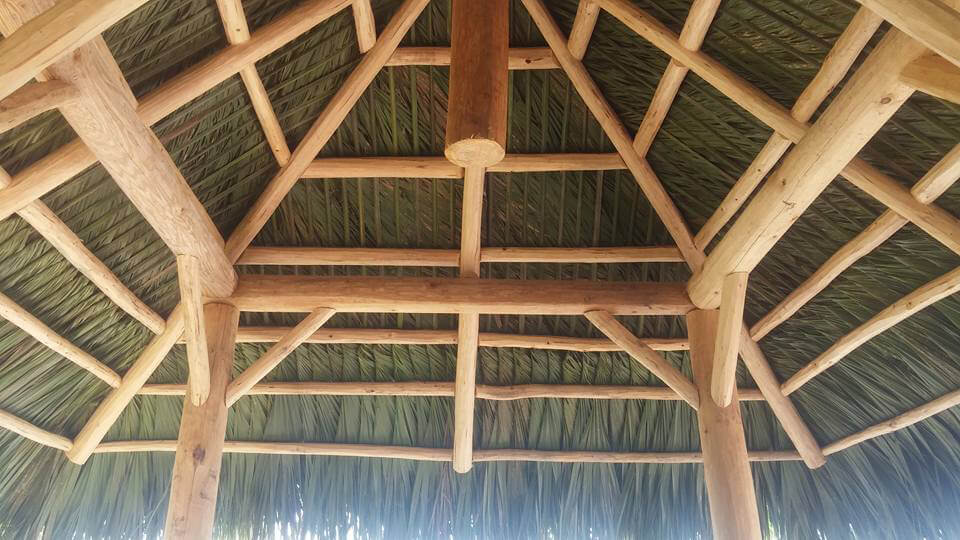 Palm Thatch