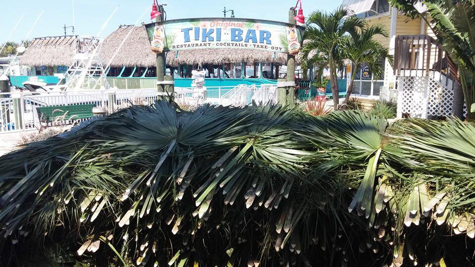 Tiki Hut Re-Thatching